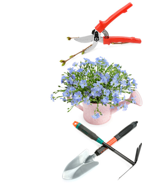 园林工具、铁锹、喷壶和耙子隔离在白色上。文本的自由空间。拼贴画。垂直的照片。图片下载