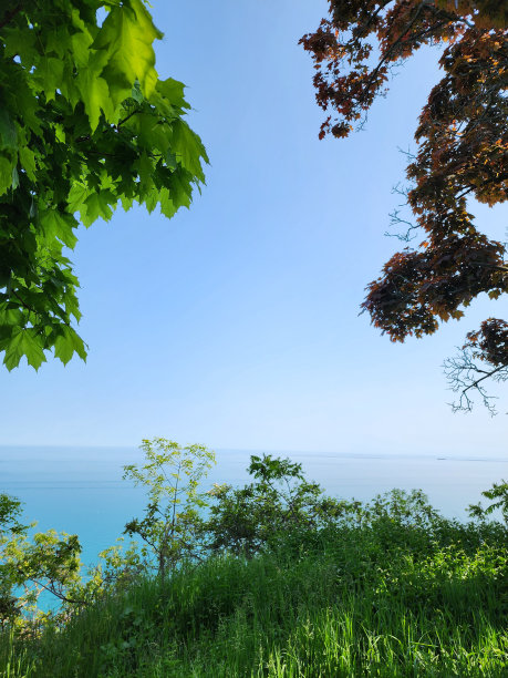 季节性选择图片下载