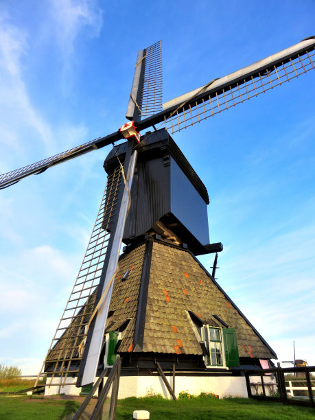 荷兰金德堤的风车图片下载