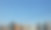 纽约市的天际线图片下载