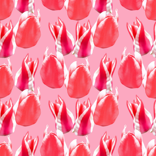 郁金香。无缝模式。花的背景。用于封面、包装的装饰性印花。插图。用于纺织品、棉织物、墙纸、t恤、亚麻布的拼贴图片下载