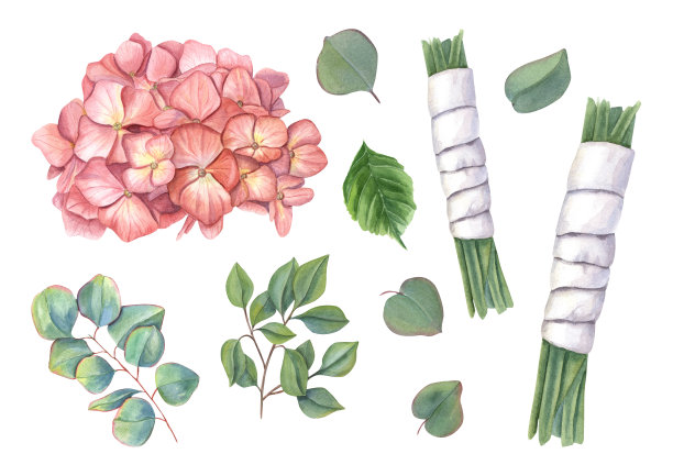 将花束拆成碎片。绣球花花序，桉叶，茎白色带状，叶绿色。水彩插图孤立的白色背景。婚礼设计图片下载