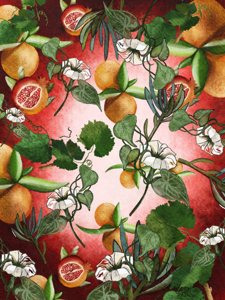 橘子，石榴，香草，图片下载