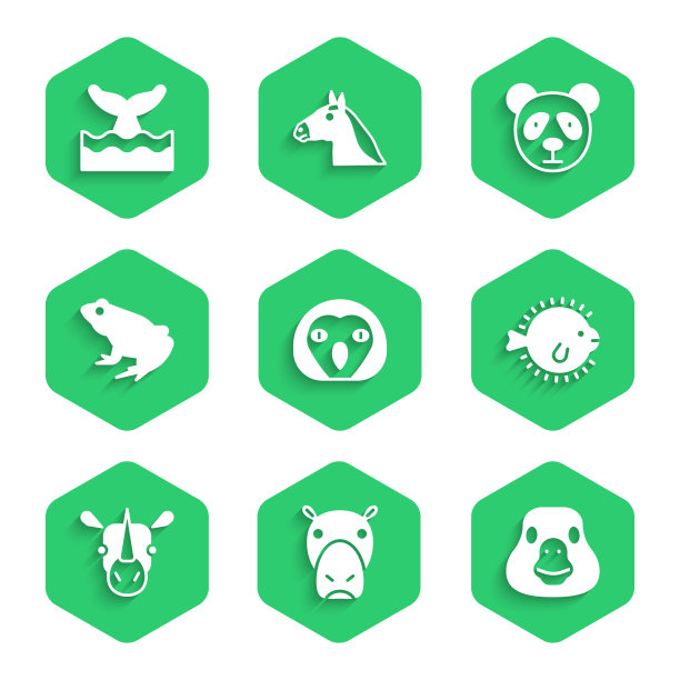 集猫头鹰鸟河马或河马鹅河豚图片下载