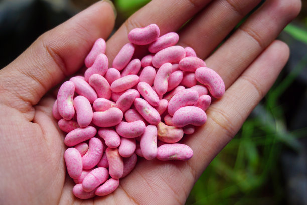 蔬菜和水果谷物的库存照片图片下载