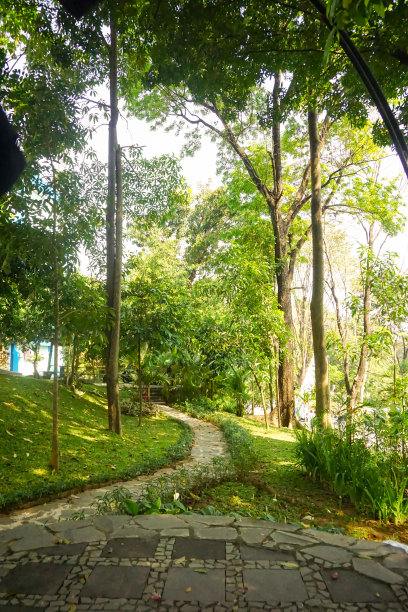 现代家庭花园构图的股票照片充满了许多美丽的植物。时尚的植物内饰。家庭园艺概念。图片下载