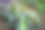 现代家庭花园构图的股票照片充满了许多美丽的植物。时尚的植物内饰。家庭园艺概念。图片下载