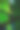 现代家庭花园构图的股票照片充满了许多美丽的植物。时尚的植物内饰。家庭园艺概念。图片下载