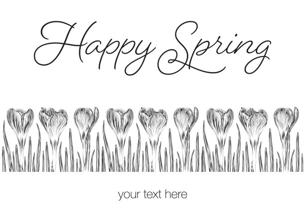 春季边界与藏红花墨水矢量插图图片下载