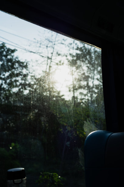 有阳光和树的脏火车窗户图片下载