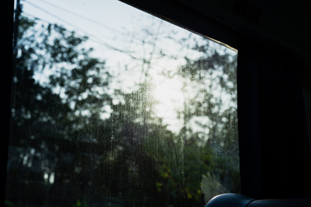 有阳光和树的脏火车窗户图片下载