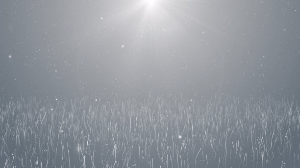 颗粒白色业务明亮闪光散景尘埃抽象的背景图片下载