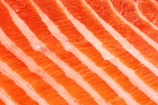 特写纹理的新鲜鲑鱼片切片孤立的白色背景图片下载