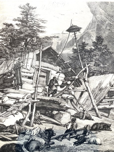 山小屋农场图片下载