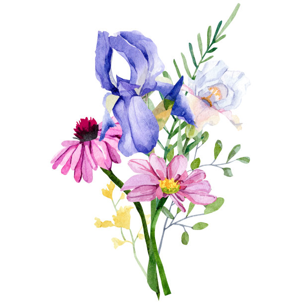 Ditsy花卉水彩插图。手绘野花花束安排植物艺术与草甸花，鸢尾，叶子，茎婚礼邀请，新娘淋浴，婴儿淋浴图片下载