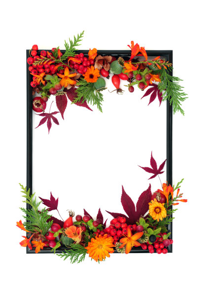 花卉感恩节和秋天自然背景边界图片下载