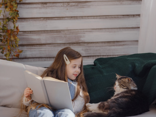 秋高气爽的周末和猫在家里。图片下载