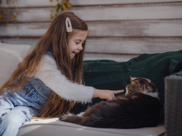 秋高气爽的周末和猫在家里。图片下载