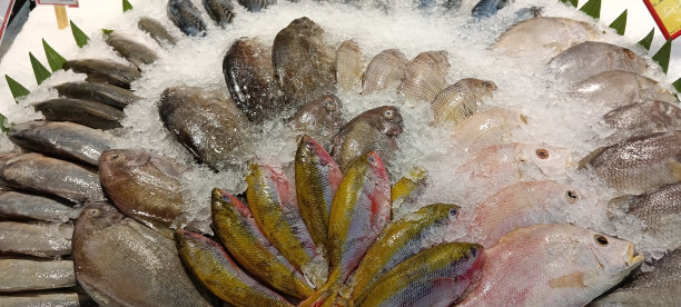 一排整齐排列的鲜鱼，在超市里出售给顾客图片下载