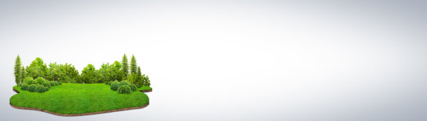 有旅游和度假背景。3d插图与切割的地面和草地景观。岛上的树。生态设计理念。横幅模型。图片下载