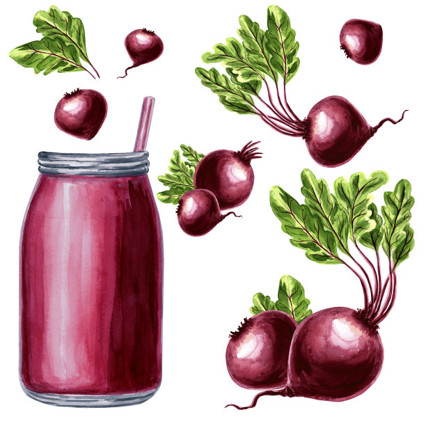 一套水彩插图的红色瓶子和甜菜根与绿色的顶部。JPG手绘插图设计。图片下载
