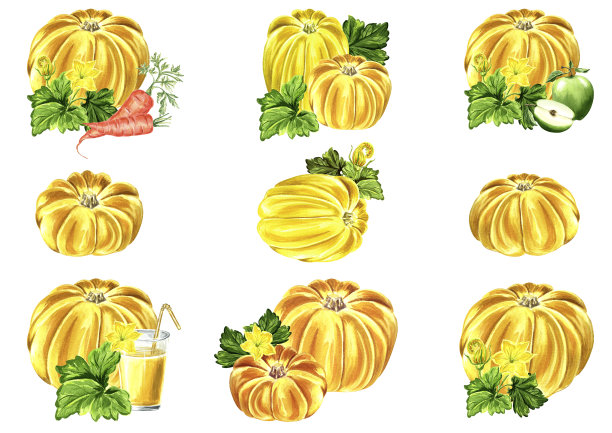 一套水彩插图的黄色南瓜与树叶。手绘水彩插图JPEG设计。图片下载
