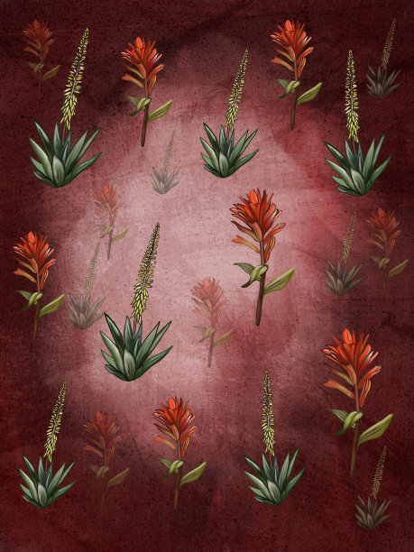 插图芦荟与一朵花在一个红色的背景，水彩图片下载