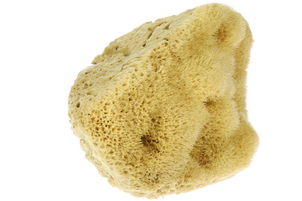 来自希腊卡利姆诺斯岛的天然海绵图片下载