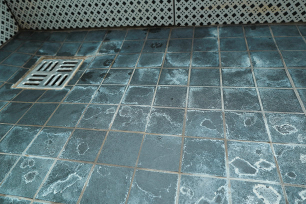 极其肮脏的浴室排水孔网和瓷砖表面覆盖水垢。淋浴时瓷砖上的痕迹是水和水垢造成的。白色的白垩状沉积物和污渍图片下载