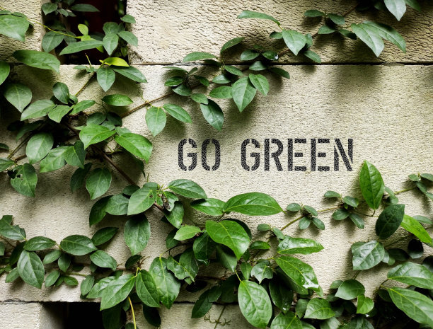 墙上的绿色植物和文字GO Green意味着实践导致更环保和对生态负责的生活方式，具有生态意识来维持自然资源图片下载