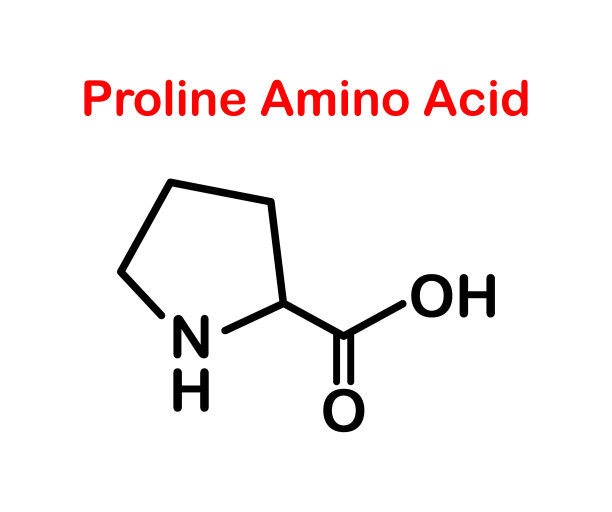 向量说明化学分子式脯氨酸氨基酸，骨架公式在一个白色的背景图片下载