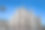 意大利的米兰大教堂图片下载