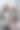 浴缸里湿的狗。图片下载
