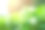 草莓植物背景。合上草莓花和绿叶图片下载