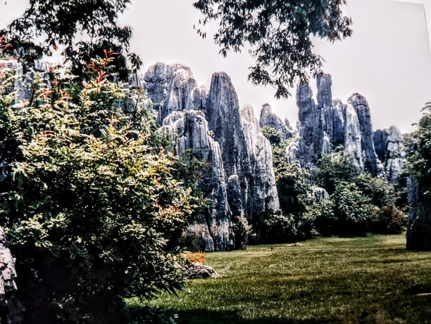 观赏石林石林图片下载