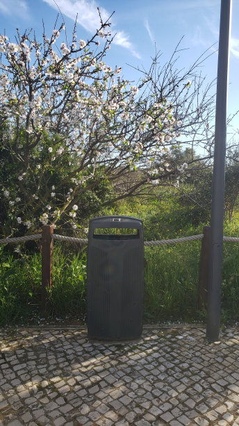 街上的垃圾桶图片下载