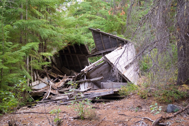 帕克赫斯特以前是伐木社区，靠近今天的惠斯勒。现在被遗弃，回归自然。图片下载