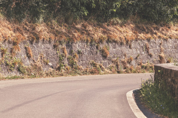 夏季山路的高角度视图。副本的空间。图片下载