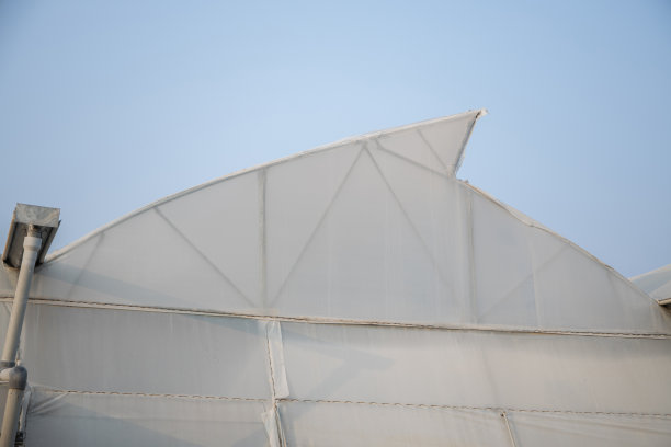 白色的保利房或绿色的房子在晴朗的天空背景下，农业和现代农业理念。副本的空间。图片下载