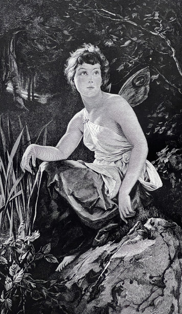 光精灵坐在森林里的一块石头上图片下载