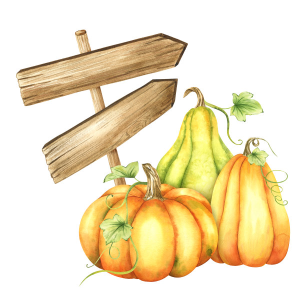 木制招牌。木板上有橙色和绿色的南瓜和树叶。秋天的指针。水彩插图。孤立。用于明信片，营销，邀请。图片下载