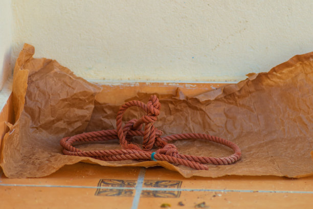 象征的绳索像绞索一样绕在脖子上，因为债务和贷款，签署了遗嘱图片下载