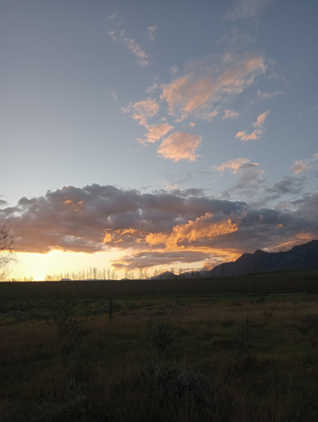 黄昏的金云龙图片下载