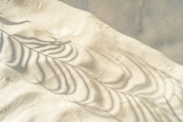 热带树叶的抽象阴影在沙子的纹理上留下阴影。抽象纹理新潮米色背景，自然概念。图片下载