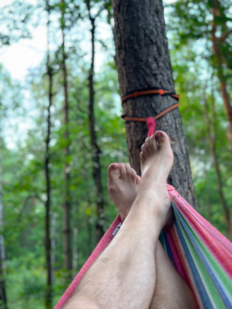 树林里的吊床很冷图片下载