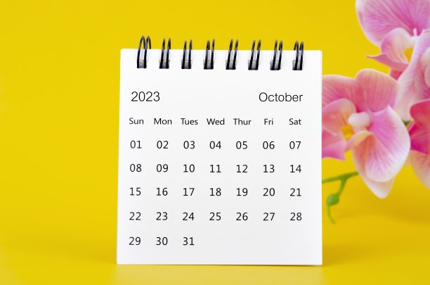 2023年10月的日历桌面和黄色背景上的粉红色兰花。图片下载