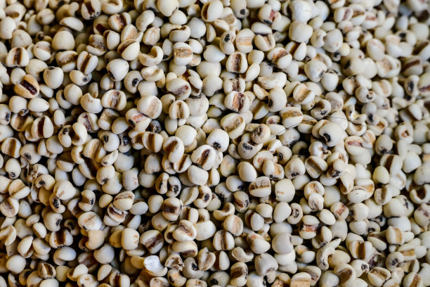 泰国曼谷美食香料的美丽照片图片下载