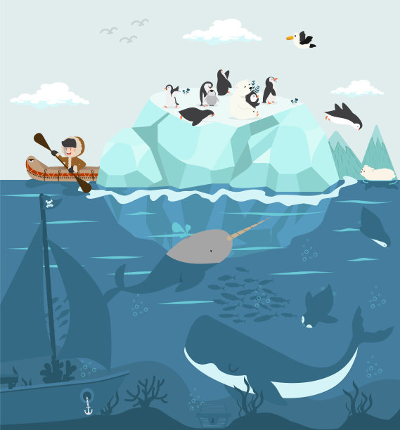 北极动物的特征和背景图片下载