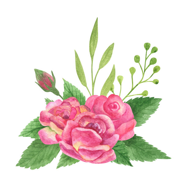 水彩婚礼花束。玫瑰和绿叶排列图片下载
