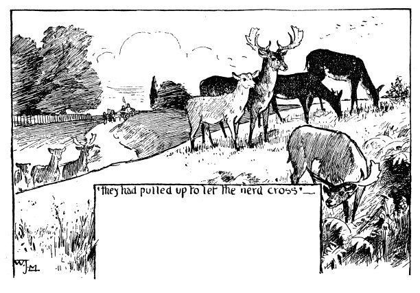 古董儿童书插图:鹿图片下载